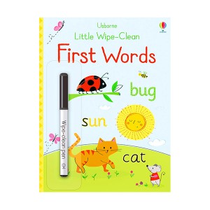 First Words : Little Wipe Clean Book (Paperback, 영국판)  