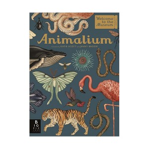 Welcome To The Museum : Animalium