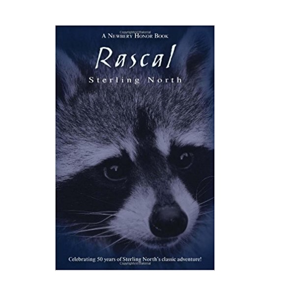 [�ĺ�:B��] [������] Rascal 