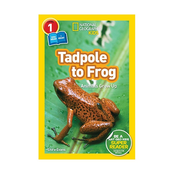 [�ĺ�:B��] National Geographic Readers 1 : Co-readers : Tadpole to Frog