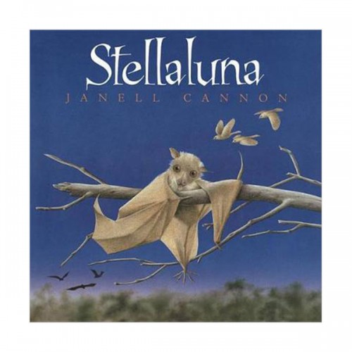 [파본:B급] Stellaluna (Board book)