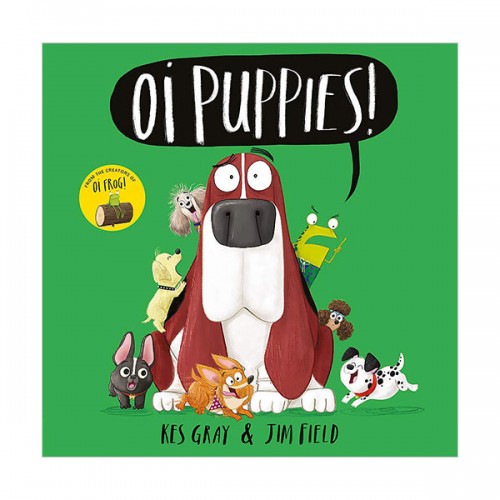 [파본:특AA]Oi Frog and Friends : Oi Puppies! (Paperback, 영국판)