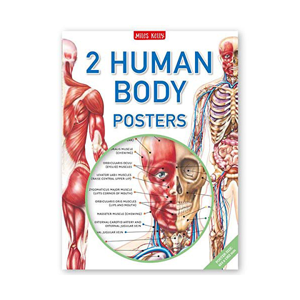 Human Body Poster Pack