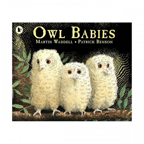 Owl Babies