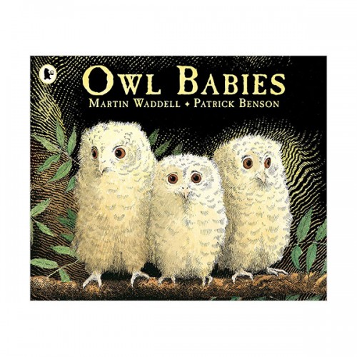 [특가] Owl Babies (Paperback, 영국판)