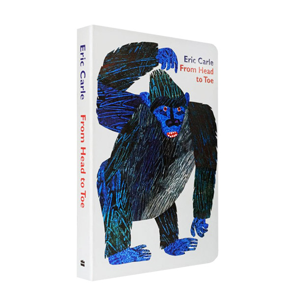 From Head to Toe (Board Book)