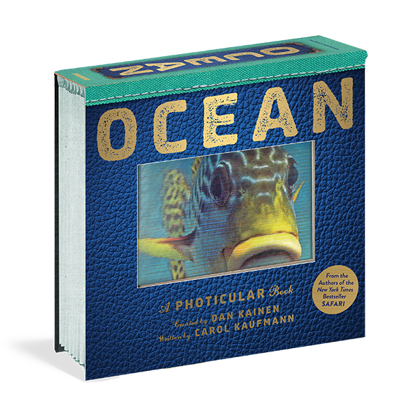 Ocean : A Photicular Book