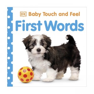 Baby Touch and Feel : First Words
