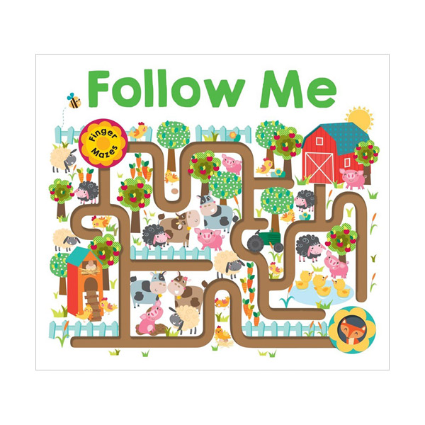 Maze Book : Follow Me (Board Books)