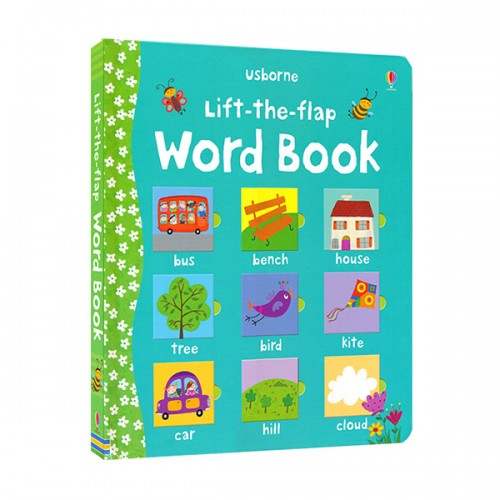 Usborne Lift the Flap : Word Book (Board book, 영국판)