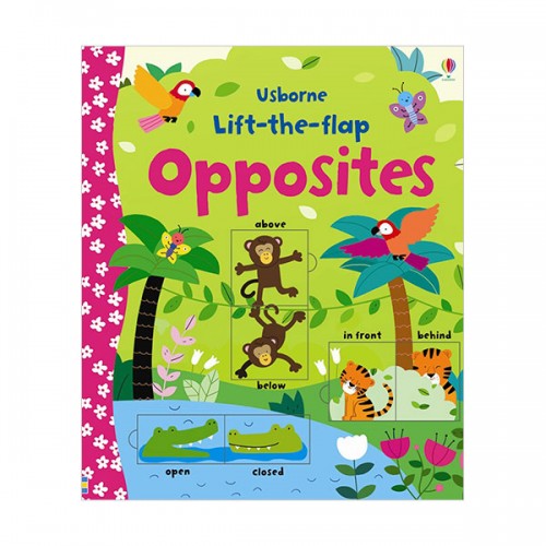 Usborne Lift the Flap : Opposites (Board book, 영국판)