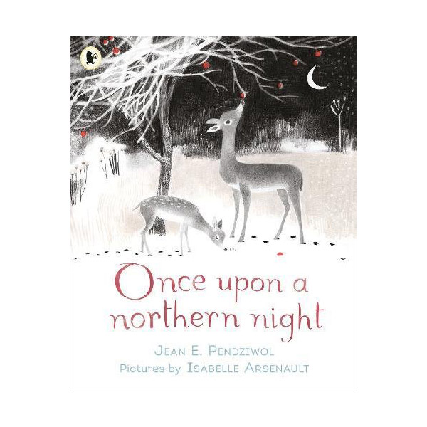 Once Upon a Northern Night (Paperback)