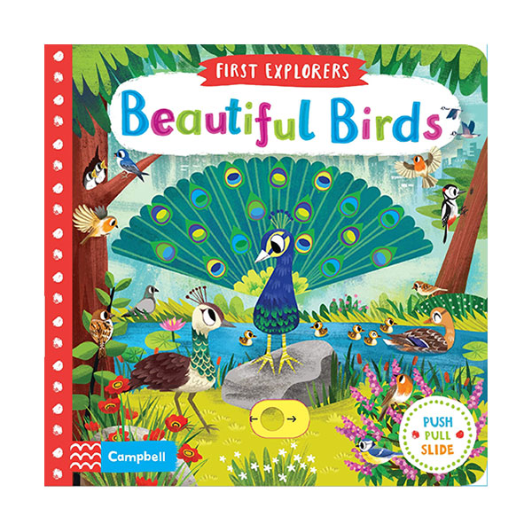 First Explorers : Beautiful Birds
