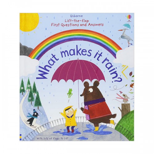 Lift-the-flap First Questions and Answers : What Makes it Rain? (Board book, )