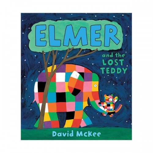 Elmer and the Lost Teddy (Paperback, )