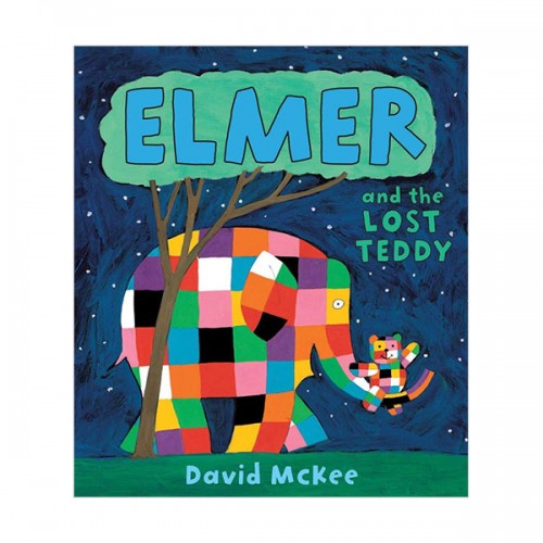 Elmer and the Lost Teddy (Paperback, 영국판)