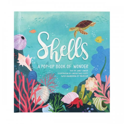 Shells : A Pop-up Book of Wonder