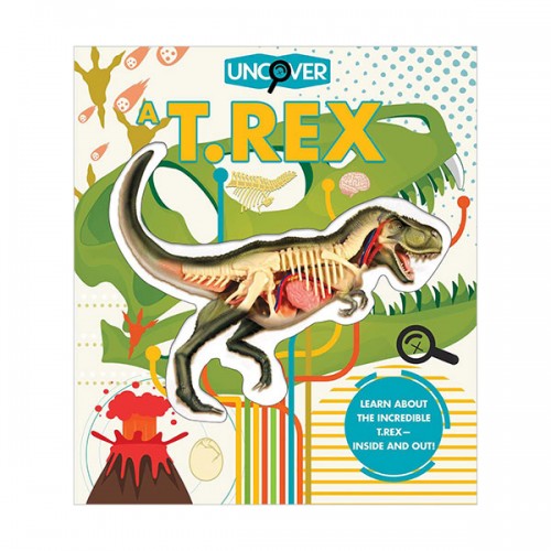 Uncover a T.Rex