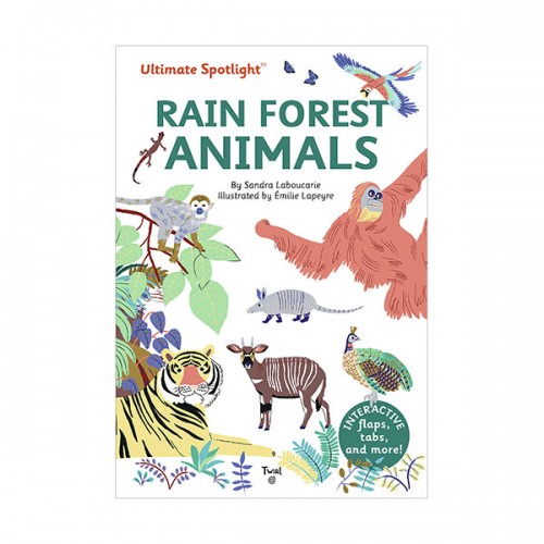 Ultimate Spotlight : Rain Forest Animals