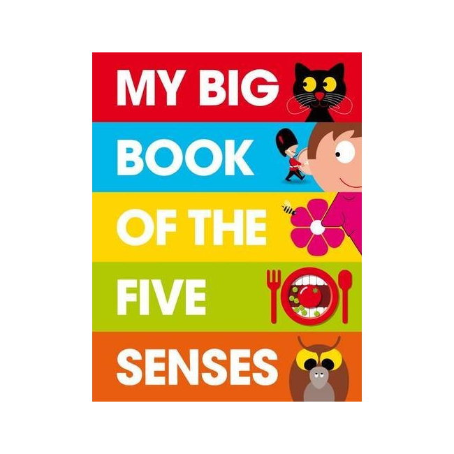 My Big Book of the Five Senses (Hardback, )