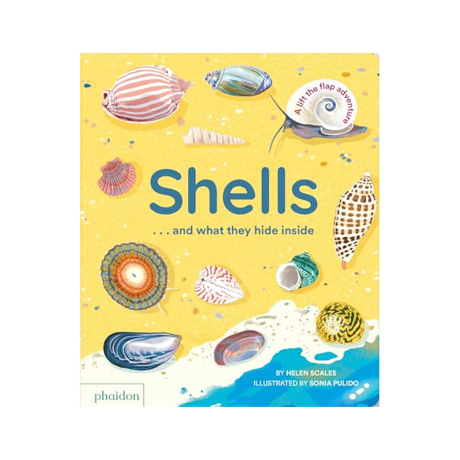 Shells... And What They Hide Inside : A Lift-the-Flap Adventure