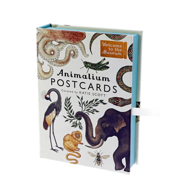 Welcome to the Museum : Animalium Postcards