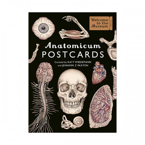Welcome To The Museum : Anatomicum Postcard Box