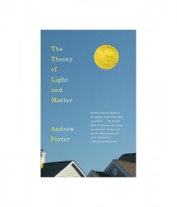 The Theory of Light and Matter