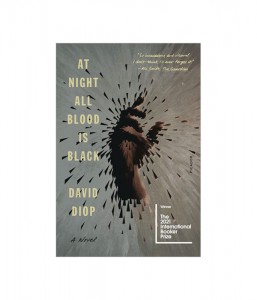 At Night All Blood Is Black [2021 ǺĿ]