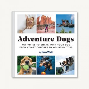 Adventure Dogs (Hardcover)