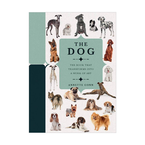 Paperscapes : The Dog (Hardcover, )