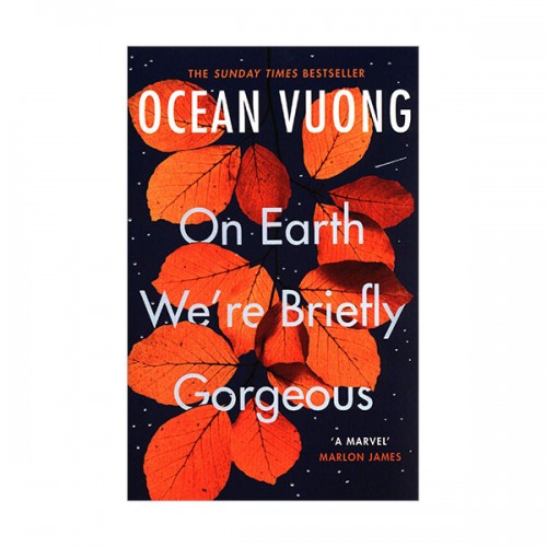 On Earth We're Briefly Gorgeous