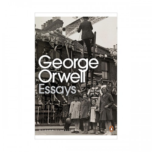 Penguin Modern Classics : Essays  