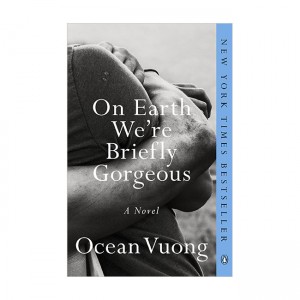 On Earth We're Briefly Gorgeous: A Novel (Paperback)