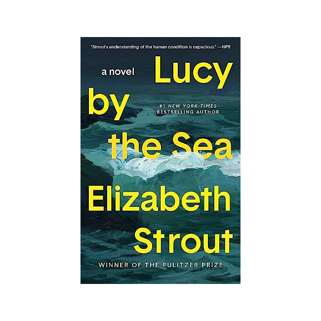 Amgash  #04 : Lucy by the Sea : A Novel (Paperback, ̱)