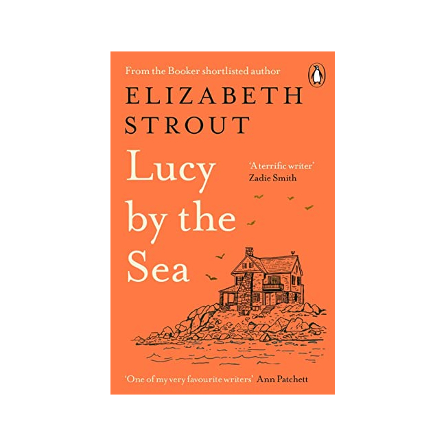 Amgash #04 : Lucy by the Sea : A Novel (Paperback, )