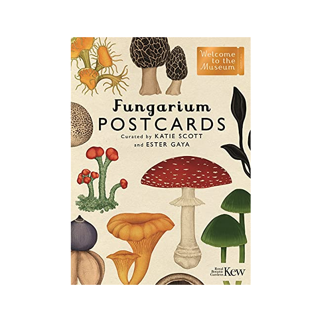 Welcome To The Museum : Fungarium Postcards