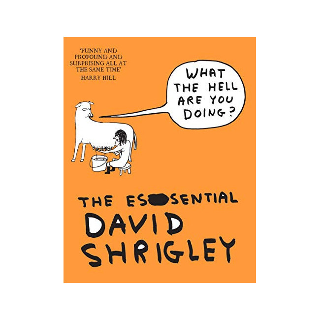 What the Hell Are You Doing? : The Essential David Shrigley (Paperback, )