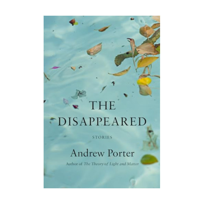 The Disappeared : Stories