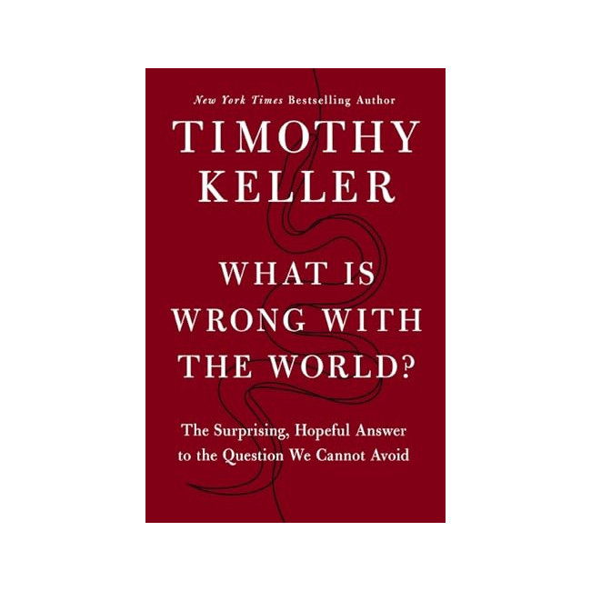 What Is Wrong With the World?