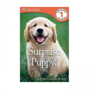  Dk Readers 1 : Surprise Puppy (Paperback)