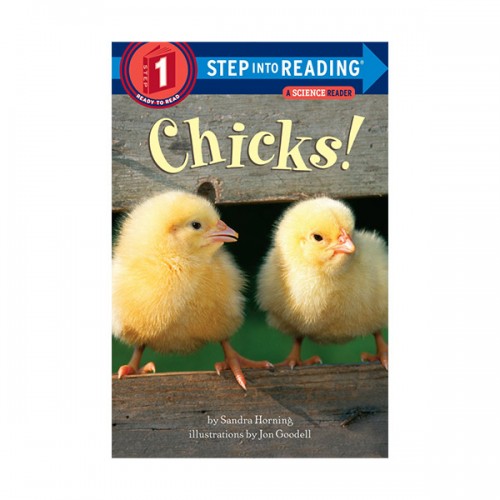 Step Into Reading 1ܰ : A Science Reader : Chicks!