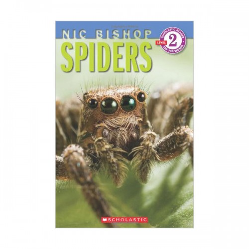 Scholastic Reader Level 2 : Spiders (Paperback)