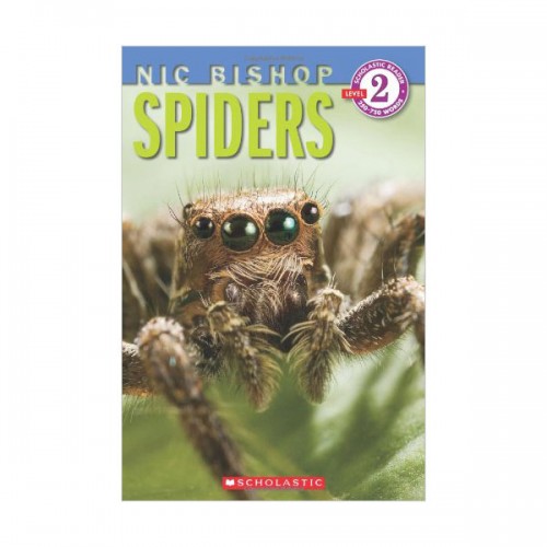 Scholastic Reader Level 2 : Spiders