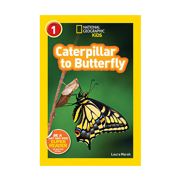 [적립금 3배★]National Geographic Kids Readers Level 1 : Caterpillar to Butterfly (Paperback)