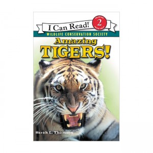 I Can Read 2 :Amazing Tigers!