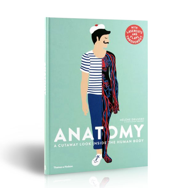  Anatomy : A Cutaway Look Inside the Human Body (Hardcover, UK)
