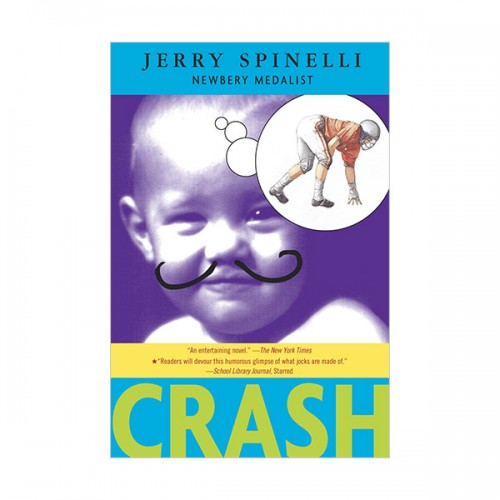 Crash (Paperback)