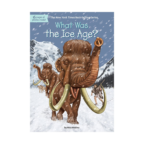 What Was the Ice Age?