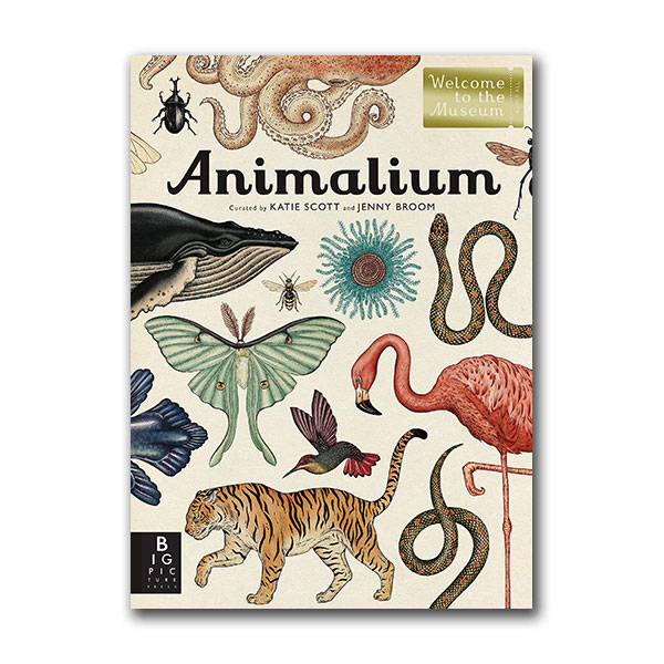 Welcome to the Museum : Animalium